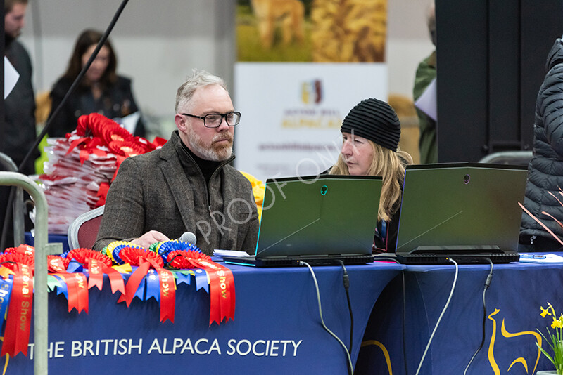 IWP9813 
 BAS National Show 2024 
 Keywords: British Alpaca Society, National Show, 2024, Champion of Champions Fleece Show, Alpaca, Suri, Huacaya