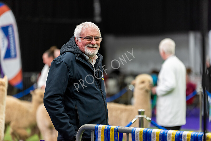 IWP0966 
 BAS National Show 2024 
 Keywords: British Alpaca Society, National Show, 2024, Champion of Champions Fleece Show, Alpaca, Suri, Huacaya