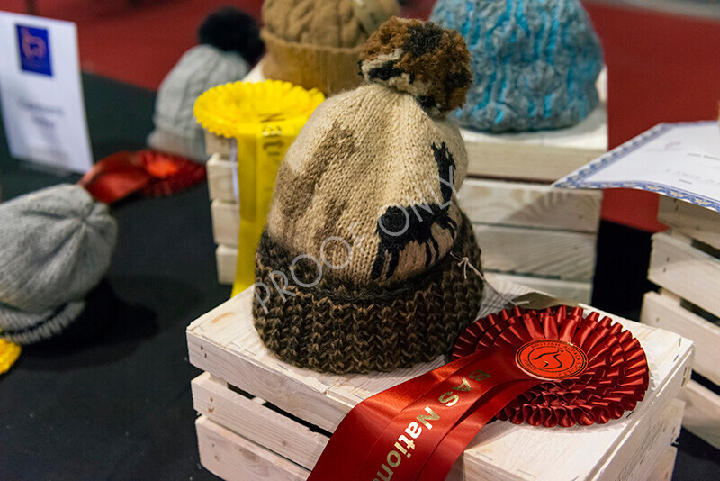 IWM9196 
 Photography of BAS National Show 2023 
 Keywords: Surrey Photographer, Alpacas, Suri, Huacaya, 2023, BAS, British Alpaca Society, Alpaca, Suri, Huacaya, Fleece Judging, Halter Show