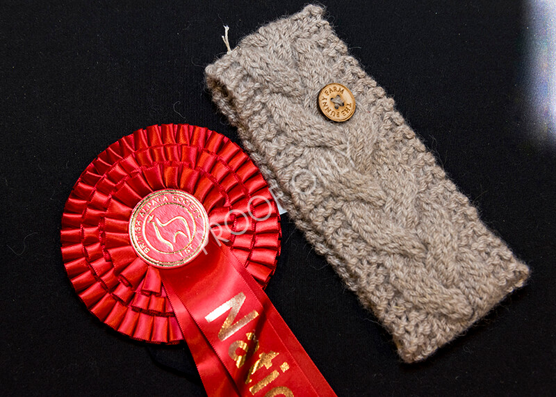 IWM5266 
 BAS National Show 2022 
 Keywords: Surrey Photographer, Alpacas, Suri, Huacaya, BAS National Show 2022, BAS' British Alpaca Society