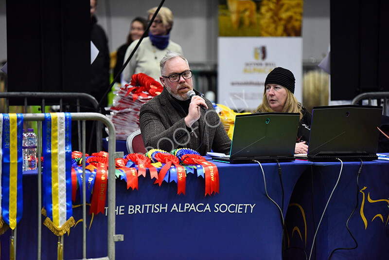 IWP9818 
 BAS National Show 2024 
 Keywords: British Alpaca Society, National Show, 2024, Champion of Champions Fleece Show, Alpaca, Suri, Huacaya