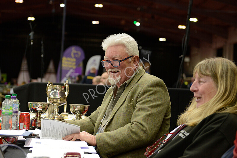 IWM8320 
 Photography of BAS National Show 2023 
 Keywords: Surrey Photographer, Alpacas, Suri, Huacaya, 2023, BAS, British Alpaca Society, Alpaca, Suri, Huacaya, Fleece Judging, Halter Show