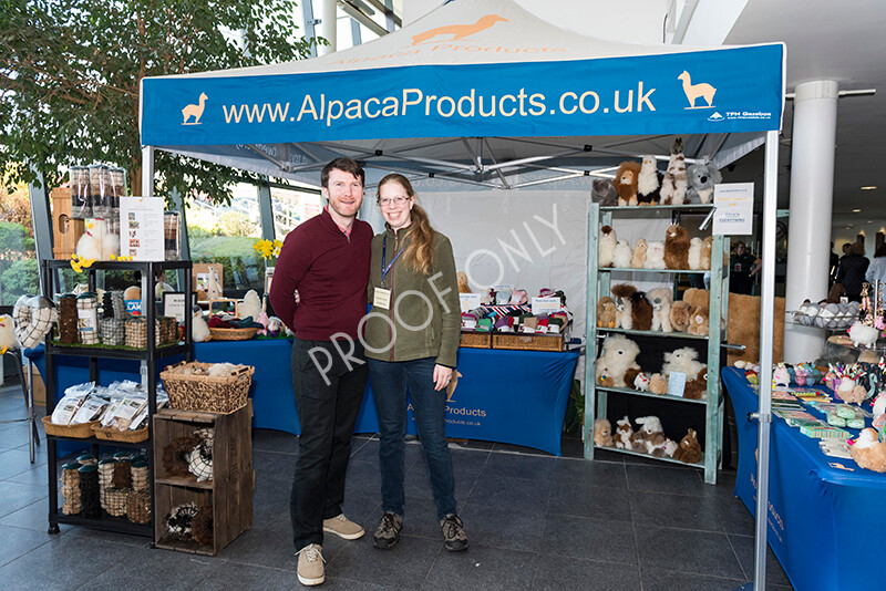 IWM5053 
 BAS National Show 2022 
 Keywords: Surrey Photographer, Alpacas, Suri, Huacaya, BAS National Show 2022, BAS' British Alpaca Society