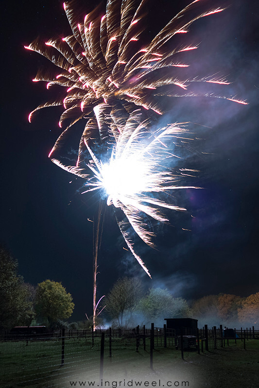 IWM3883 
 SWANTON MORELEY FIREWORKS 2015 
 Keywords: FIREWORKS, GUY FAWKES, BONFIRE, 5TH NOVEMBER, INGRID WEEL, INGRIDWEEL MEDIA LTD, PHOTOGRAPHY, SURREY, WEDDINGS, CORPORATE, PR, EVENTS, SWANTON MORELEY, NORFOLK