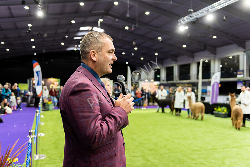 IWP1662 
 BAS National Show 2024 
 Keywords: British Alpaca Society, National Show, 2024, Champion of Champions Fleece Show, Alpaca, Suri, Huacaya