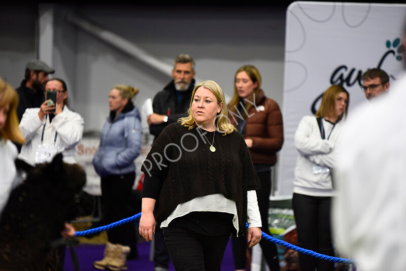 IWP9961 
 BAS National Show 2024 
 Keywords: British Alpaca Society, National Show, 2024, Champion of Champions Fleece Show, Alpaca, Suri, Huacaya