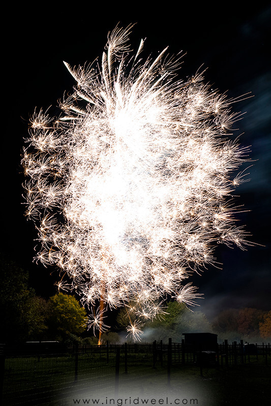 IWM3916 
 SWANTON MORELEY FIREWORKS 2015 
 Keywords: FIREWORKS, GUY FAWKES, BONFIRE, 5TH NOVEMBER, INGRID WEEL, INGRIDWEEL MEDIA LTD, PHOTOGRAPHY, SURREY, WEDDINGS, CORPORATE, PR, EVENTS, SWANTON MORELEY, NORFOLK