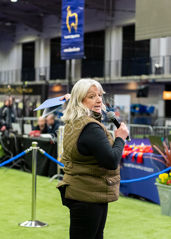 IWP9771 
 BAS National Show 2024 
 Keywords: British Alpaca Society, National Show, 2024, Champion of Champions Fleece Show, Alpaca, Suri, Huacaya