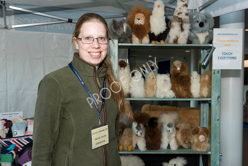 IWM5056 
 BAS National Show 2022 
 Keywords: Surrey Photographer, Alpacas, Suri, Huacaya, BAS National Show 2022, BAS' British Alpaca Society