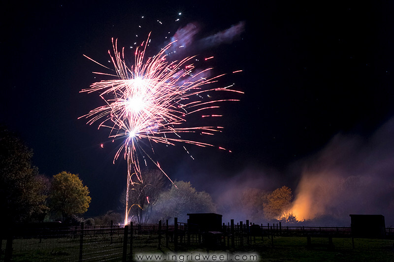 IWM3848 
 SWANTON MORELEY FIREWORKS 2015 
 Keywords: FIREWORKS, GUY FAWKES, BONFIRE, 5TH NOVEMBER, INGRID WEEL, INGRIDWEEL MEDIA LTD, PHOTOGRAPHY, SURREY, WEDDINGS, CORPORATE, PR, EVENTS, SWANTON MORELEY, NORFOLK