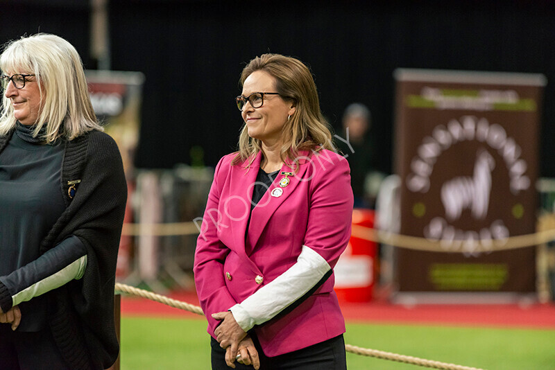 IWM8109 
 Photography of BAS National Show 2023 
 Keywords: Surrey Photographer, Alpacas, Suri, Huacaya, 2023, BAS, British Alpaca Society, Alpaca, Suri, Huacaya, Fleece Judging, Halter Show