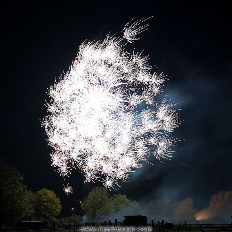 IWM3866 
 SWANTON MORELEY FIREWORKS 2015 
 Keywords: FIREWORKS, GUY FAWKES, BONFIRE, 5TH NOVEMBER, INGRID WEEL, INGRIDWEEL MEDIA LTD, PHOTOGRAPHY, SURREY, WEDDINGS, CORPORATE, PR, EVENTS, SWANTON MORELEY, NORFOLK