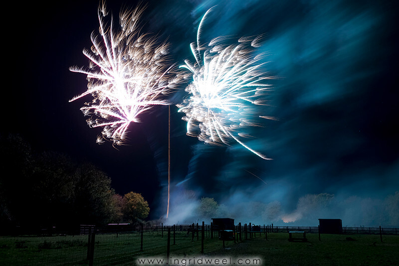 IWM3910 
 SWANTON MORELEY FIREWORKS 2015 
 Keywords: FIREWORKS, GUY FAWKES, BONFIRE, 5TH NOVEMBER, INGRID WEEL, INGRIDWEEL MEDIA LTD, PHOTOGRAPHY, SURREY, WEDDINGS, CORPORATE, PR, EVENTS, SWANTON MORELEY, NORFOLK