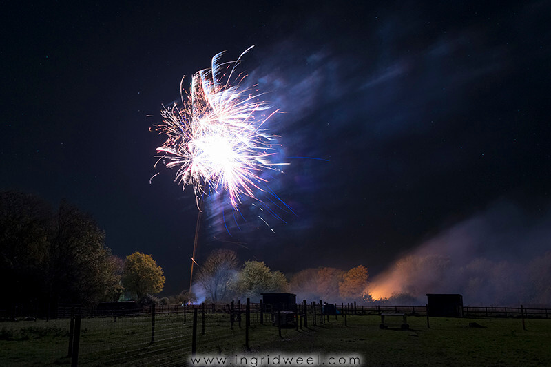 IWM3880 
 SWANTON MORELEY FIREWORKS 2015 
 Keywords: FIREWORKS, GUY FAWKES, BONFIRE, 5TH NOVEMBER, INGRID WEEL, INGRIDWEEL MEDIA LTD, PHOTOGRAPHY, SURREY, WEDDINGS, CORPORATE, PR, EVENTS, SWANTON MORELEY, NORFOLK