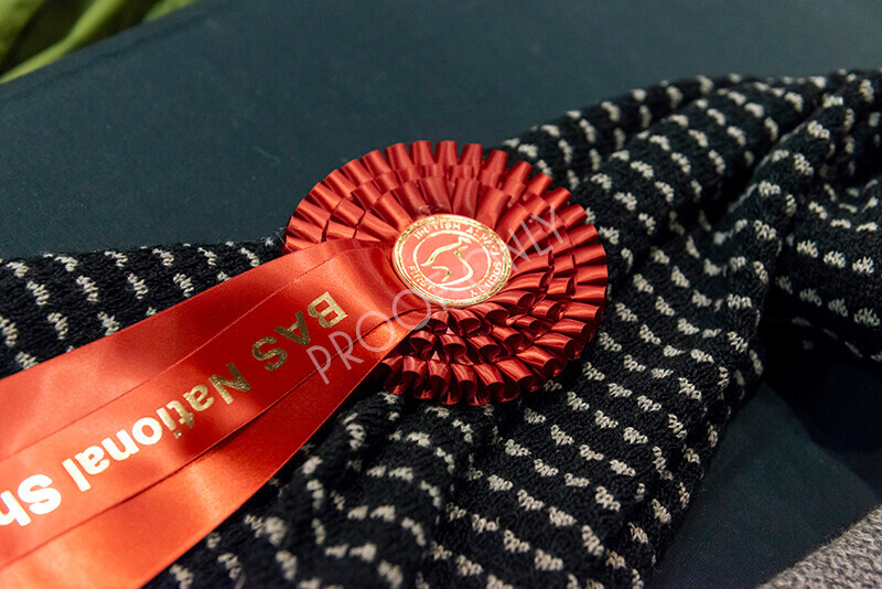 IWM9198 
 Photography of BAS National Show 2023 
 Keywords: Surrey Photographer, Alpacas, Suri, Huacaya, 2023, BAS, British Alpaca Society, Alpaca, Suri, Huacaya, Fleece Judging, Halter Show