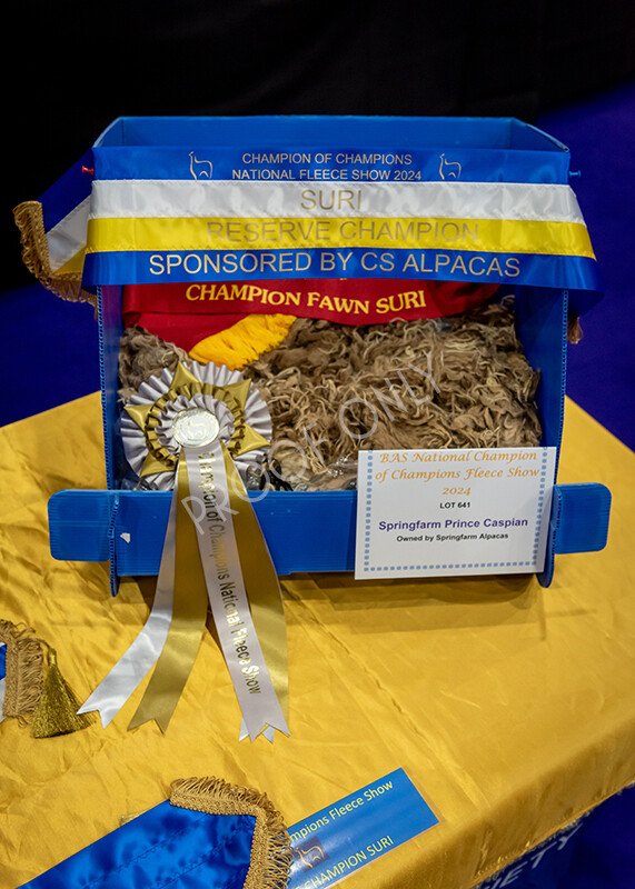 IWP0256 
 BAS National Show 2024 
 Keywords: British Alpaca Society, National Show, 2024, Champion of Champions Fleece Show, Alpaca, Suri, Huacaya