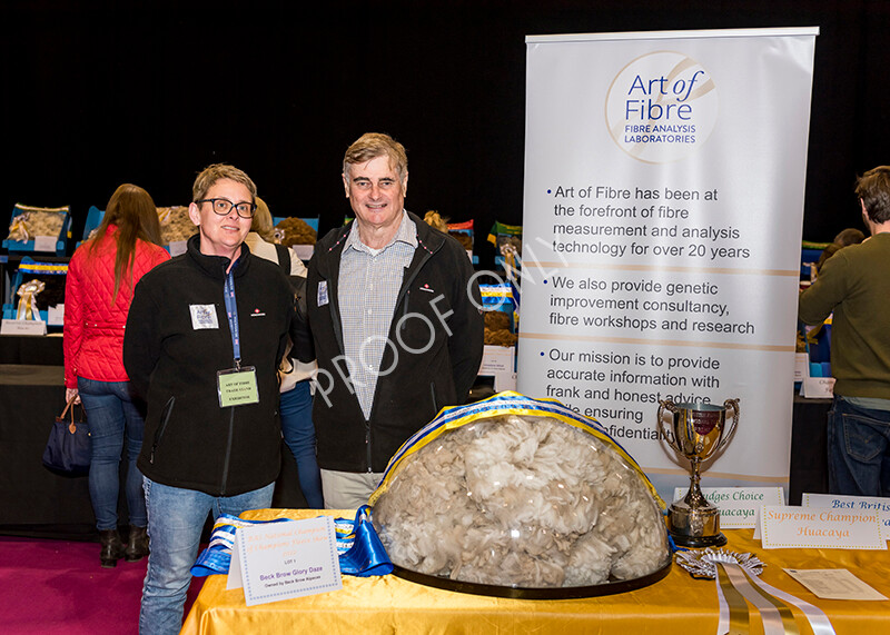 IWM5004 
 BAS National Show 2022 
 Keywords: Surrey Photographer, Alpacas, Suri, Huacaya, BAS National Show 2022, BAS' British Alpaca Society