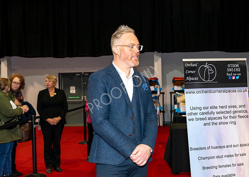 IWM8412 
 Photography of BAS National Show 2023 
 Keywords: Surrey Photographer, Alpacas, Suri, Huacaya, 2023, BAS, British Alpaca Society, Alpaca, Suri, Huacaya, Fleece Judging, Halter Show