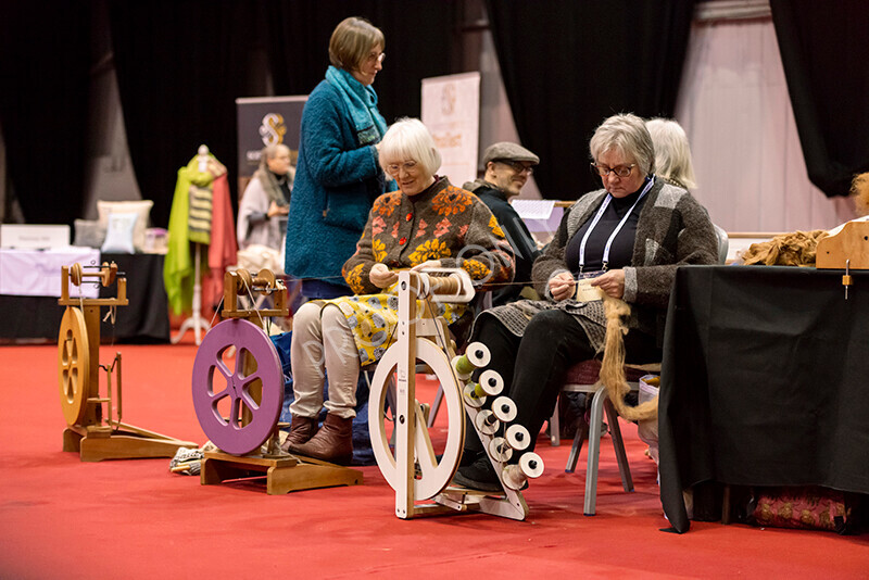 IWM8660 
 Photography of BAS National Show 2023 
 Keywords: Surrey Photographer, Alpacas, Suri, Huacaya, 2023, BAS, British Alpaca Society, Alpaca, Suri, Huacaya, Fleece Judging, Halter Show