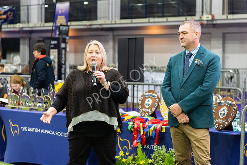 IWP9792 
 BAS National Show 2024 
 Keywords: British Alpaca Society, National Show, 2024, Champion of Champions Fleece Show, Alpaca, Suri, Huacaya