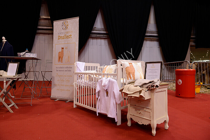 IWM9845 
 Photography of BAS National Show 2023 
 Keywords: Surrey Photographer, Alpacas, Suri, Huacaya, 2023, BAS, British Alpaca Society, Alpaca, Suri, Huacaya, Fleece Judging, Halter Show