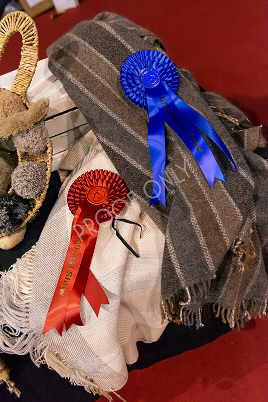 IWM9195 
 Photography of BAS National Show 2023 
 Keywords: Surrey Photographer, Alpacas, Suri, Huacaya, 2023, BAS, British Alpaca Society, Alpaca, Suri, Huacaya, Fleece Judging, Halter Show