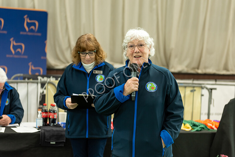 IWP3913 
 HOEAG Spring Fiesta 2024 
 Keywords: Heart of England Alpaca Group, Spring Fiesta 2024, Alpaca Show, Fleece Show Alpaca, Suri, Huacaya