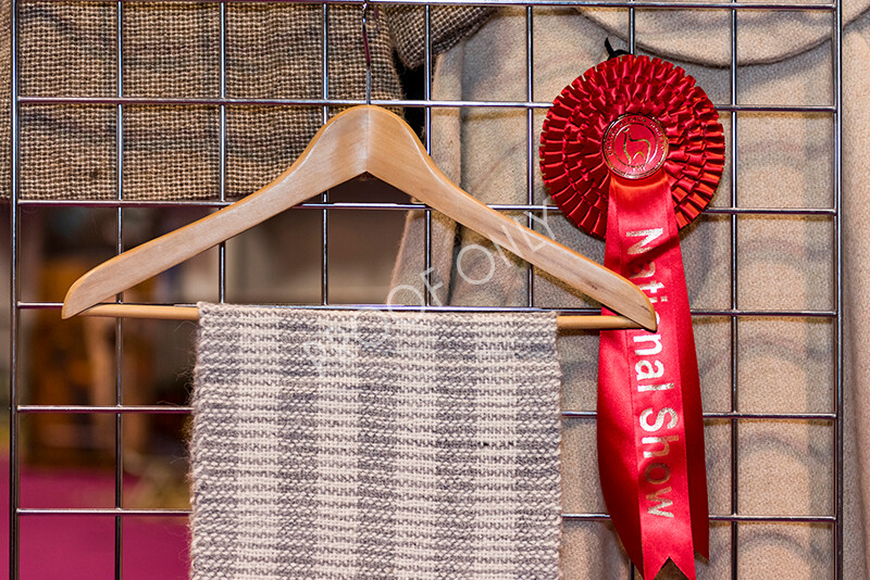 IWM5272 
 BAS National Show 2022 
 Keywords: Surrey Photographer, Alpacas, Suri, Huacaya, BAS National Show 2022, BAS' British Alpaca Society