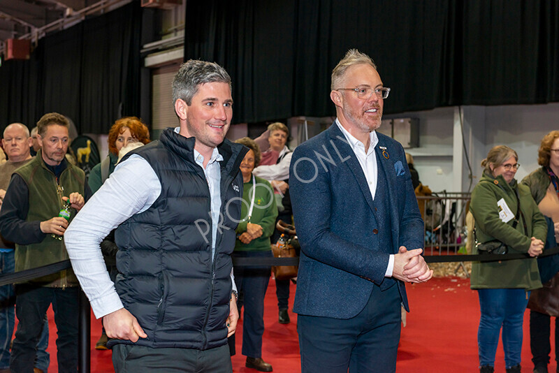 IWM8418 
 Photography of BAS National Show 2023 
 Keywords: Surrey Photographer, Alpacas, Suri, Huacaya, 2023, BAS, British Alpaca Society, Alpaca, Suri, Huacaya, Fleece Judging, Halter Show