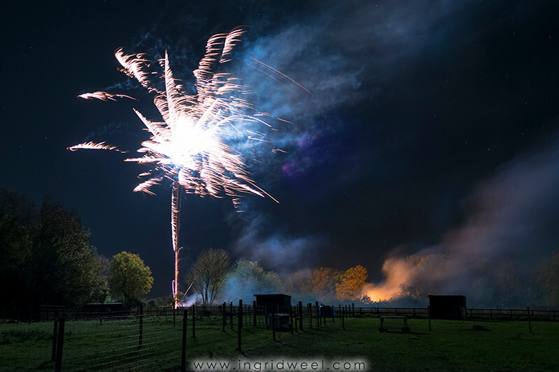 IWM3884 
 SWANTON MORELEY FIREWORKS 2015 
 Keywords: FIREWORKS, GUY FAWKES, BONFIRE, 5TH NOVEMBER, INGRID WEEL, INGRIDWEEL MEDIA LTD, PHOTOGRAPHY, SURREY, WEDDINGS, CORPORATE, PR, EVENTS, SWANTON MORELEY, NORFOLK