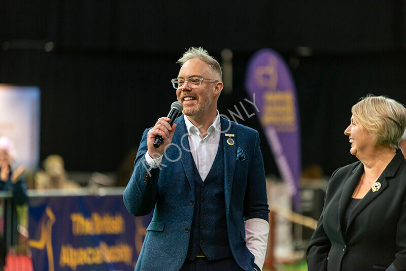 IWM8116 
 Photography of BAS National Show 2023 
 Keywords: Surrey Photographer, Alpacas, Suri, Huacaya, 2023, BAS, British Alpaca Society, Alpaca, Suri, Huacaya, Fleece Judging, Halter Show