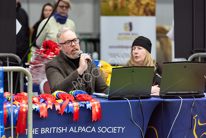 IWP9816 
 BAS National Show 2024 
 Keywords: British Alpaca Society, National Show, 2024, Champion of Champions Fleece Show, Alpaca, Suri, Huacaya