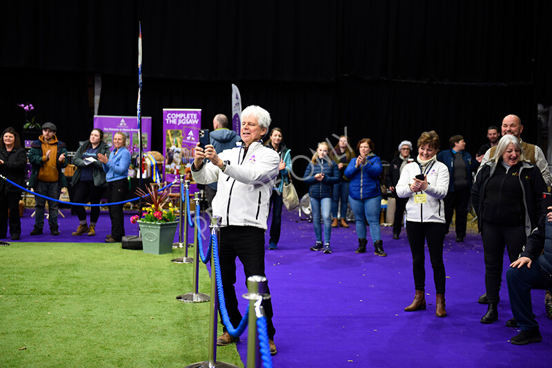 IWP1758 
 BAS National Show 2024 
 Keywords: British Alpaca Society, National Show, 2024, Champion of Champions Fleece Show, Alpaca, Suri, Huacaya