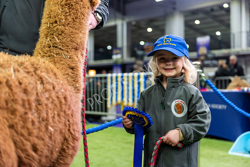 IWP0739 
 BAS National Show 2024 
 Keywords: British Alpaca Society, National Show, 2024, Champion of Champions Fleece Show, Alpaca, Suri, Huacaya