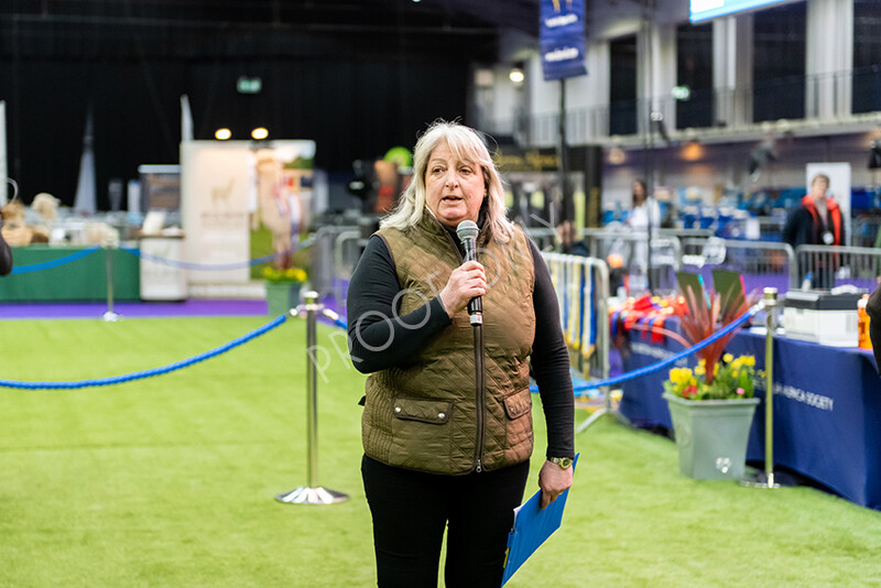 IWP9751 
 BAS National Show 2024 
 Keywords: British Alpaca Society, National Show, 2024, Champion of Champions Fleece Show, Alpaca, Suri, Huacaya