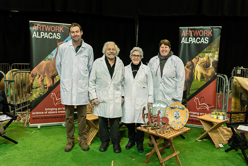 IWM9682 
 Photography of BAS National Show 2023 
 Keywords: Surrey Photographer, Alpacas, Suri, Huacaya, 2023, BAS, British Alpaca Society, Alpaca, Suri, Huacaya, Fleece Judging, Halter Show