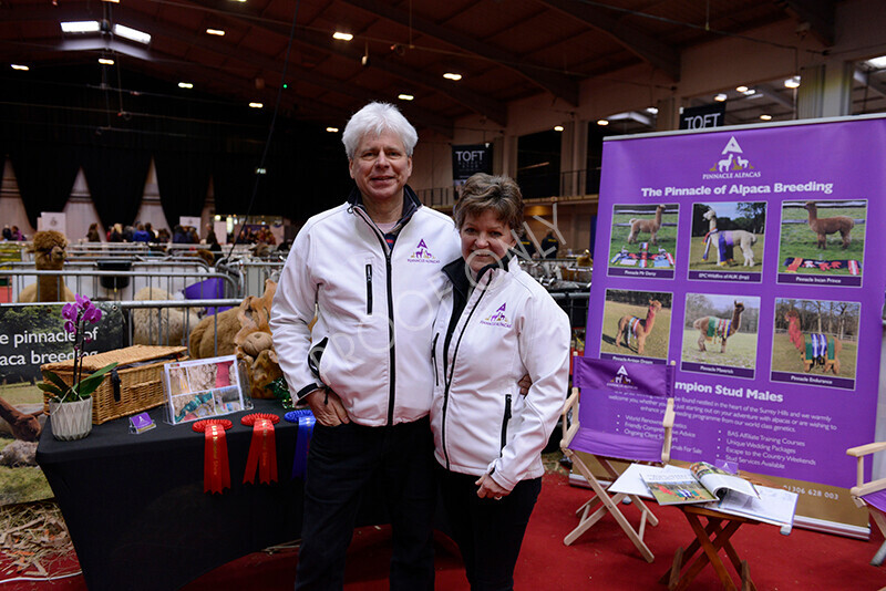 IWM9816 
 Photography of BAS National Show 2023 
 Keywords: Surrey Photographer, Alpacas, Suri, Huacaya, 2023, BAS, British Alpaca Society, Alpaca, Suri, Huacaya, Fleece Judging, Halter Show