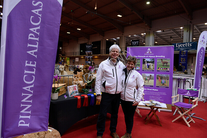 IWM9814 
 Photography of BAS National Show 2023 
 Keywords: Surrey Photographer, Alpacas, Suri, Huacaya, 2023, BAS, British Alpaca Society, Alpaca, Suri, Huacaya, Fleece Judging, Halter Show