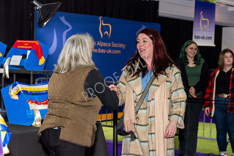 IWP0190 
 BAS National Show 2024 
 Keywords: British Alpaca Society, National Show, 2024, Champion of Champions Fleece Show, Alpaca, Suri, Huacaya