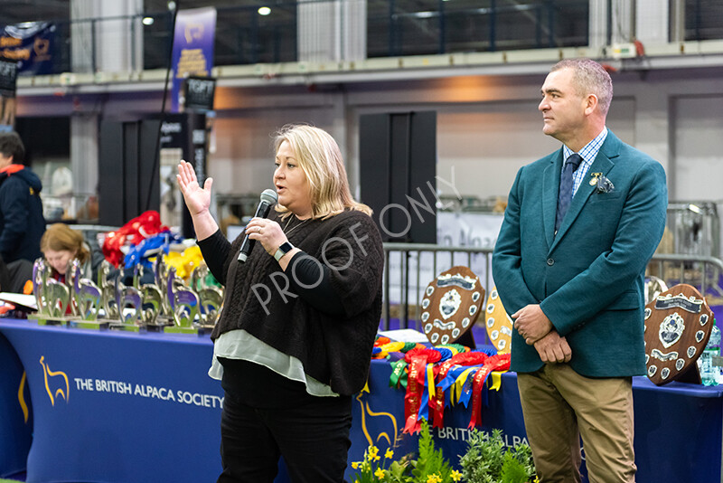 IWP9795 
 BAS National Show 2024 
 Keywords: British Alpaca Society, National Show, 2024, Champion of Champions Fleece Show, Alpaca, Suri, Huacaya