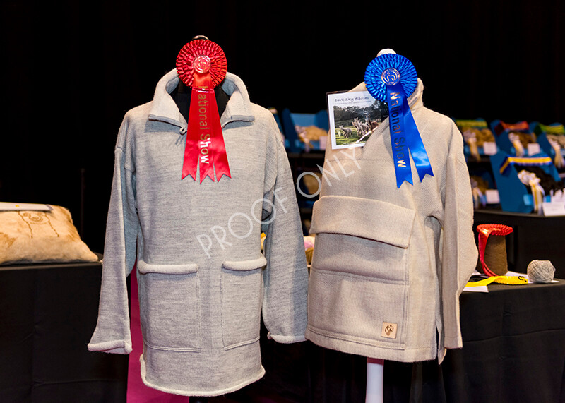 IWM5260 
 BAS National Show 2022 
 Keywords: Surrey Photographer, Alpacas, Suri, Huacaya, BAS National Show 2022, BAS' British Alpaca Society