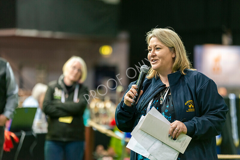 IWM8095 
 Photography of BAS National Show 2023 
 Keywords: Surrey Photographer, Alpacas, Suri, Huacaya, 2023, BAS, British Alpaca Society, Alpaca, Suri, Huacaya, Fleece Judging, Halter Show