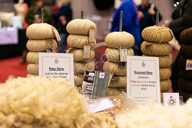 IWM9185 
 Photography of BAS National Show 2023 
 Keywords: Surrey Photographer, Alpacas, Suri, Huacaya, 2023, BAS, British Alpaca Society, Alpaca, Suri, Huacaya, Fleece Judging, Halter Show