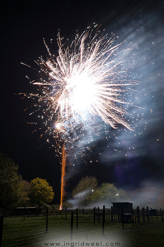 IWM3917 
 SWANTON MORELEY FIREWORKS 2015 
 Keywords: FIREWORKS, GUY FAWKES, BONFIRE, 5TH NOVEMBER, INGRID WEEL, INGRIDWEEL MEDIA LTD, PHOTOGRAPHY, SURREY, WEDDINGS, CORPORATE, PR, EVENTS, SWANTON MORELEY, NORFOLK