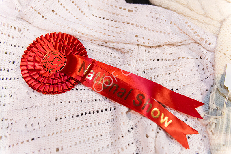 IWM5254 
 BAS National Show 2022 
 Keywords: Surrey Photographer, Alpacas, Suri, Huacaya, BAS National Show 2022, BAS' British Alpaca Society