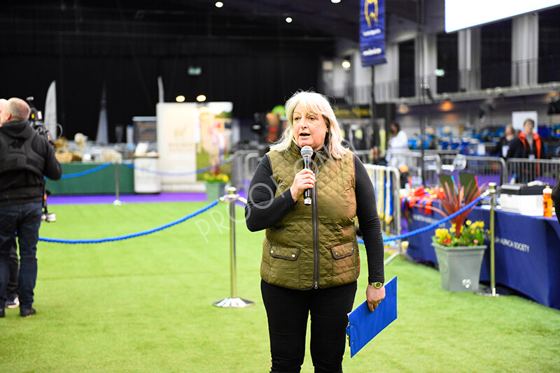 IWP9753 
 BAS National Show 2024 
 Keywords: British Alpaca Society, National Show, 2024, Champion of Champions Fleece Show, Alpaca, Suri, Huacaya