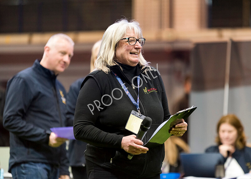 IWM4596 
 BAS National Show 2022 
 Keywords: Surrey Photographer, Alpacas, Suri, Huacaya, BAS National Show 2022, BAS' British Alpaca Society