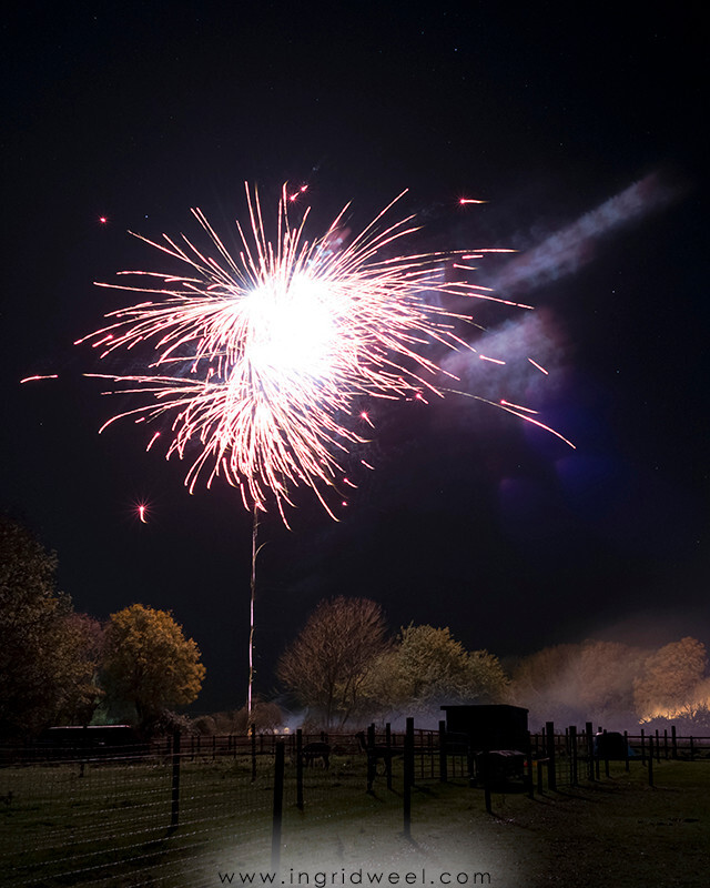 IWM3892 
 SWANTON MORELEY FIREWORKS 2015 
 Keywords: FIREWORKS, GUY FAWKES, BONFIRE, 5TH NOVEMBER, INGRID WEEL, INGRIDWEEL MEDIA LTD, PHOTOGRAPHY, SURREY, WEDDINGS, CORPORATE, PR, EVENTS, SWANTON MORELEY, NORFOLK