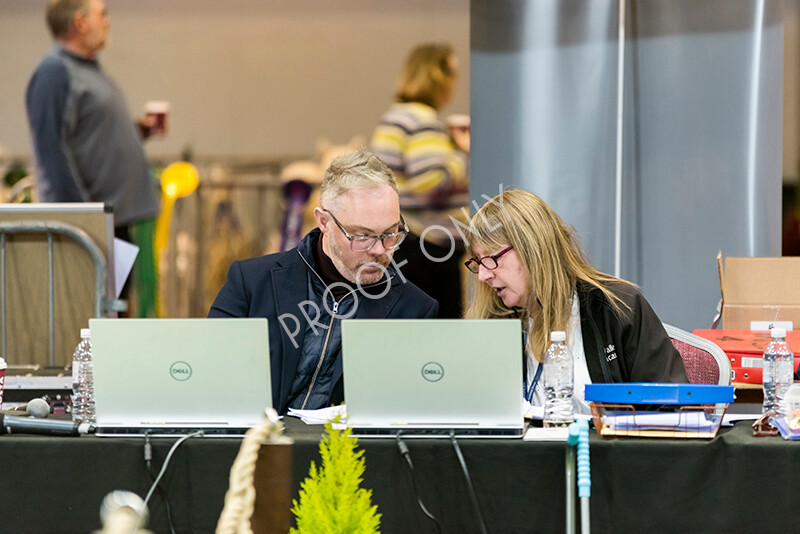 IWM4966 
 BAS National Show 2022 
 Keywords: Surrey Photographer, Alpacas, Suri, Huacaya, BAS National Show 2022, BAS' British Alpaca Society