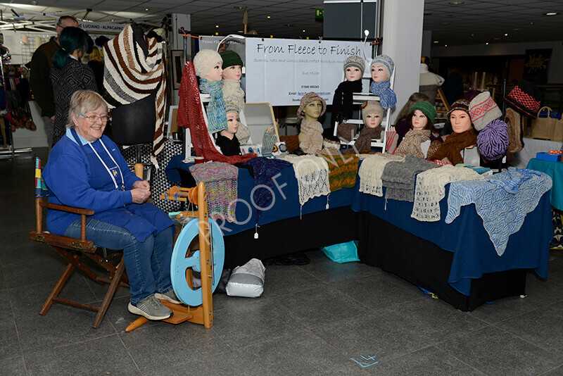 IWM9257 
 Photography of BAS National Show 2023 
 Keywords: Surrey Photographer, Alpacas, Suri, Huacaya, 2023, BAS, British Alpaca Society, Alpaca, Suri, Huacaya, Fleece Judging, Halter Show